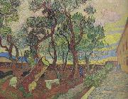 Vincent Van Gogh The Garden of Saint-Paul Hospital (nn04) china oil painting artist